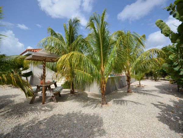 Bonaire Home 982676