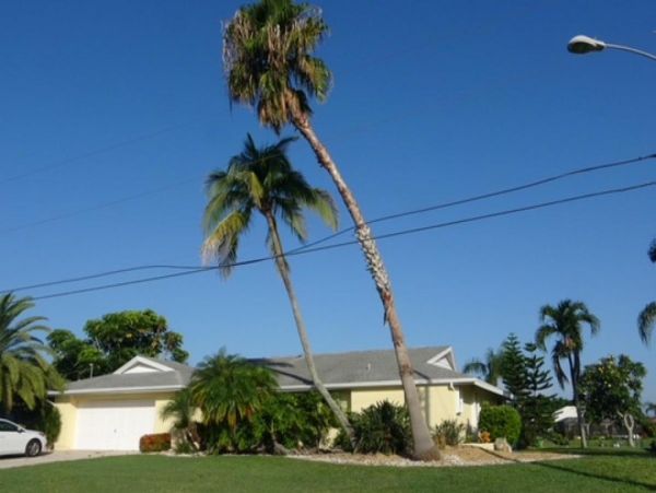 Cape Coral Home 982721