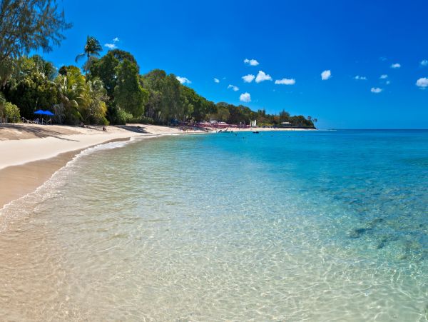 Barbados Condo 982733