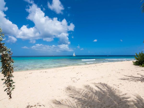 Barbados Home 982736