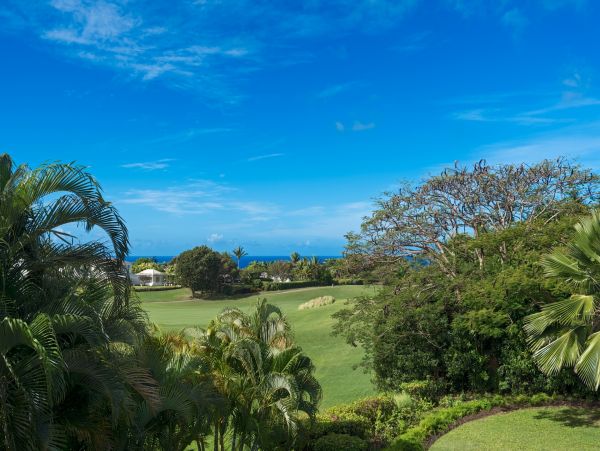 Barbados Home 982737