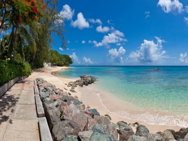 Barbados Home 982740