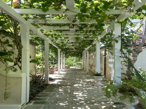 Barbados Home 982747