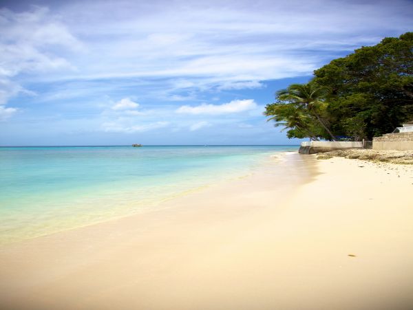 Barbados Home 982748