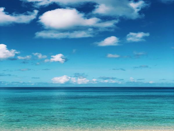 Barbados Home 982748