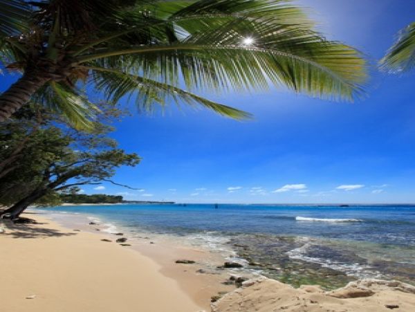 Barbados Home 982752