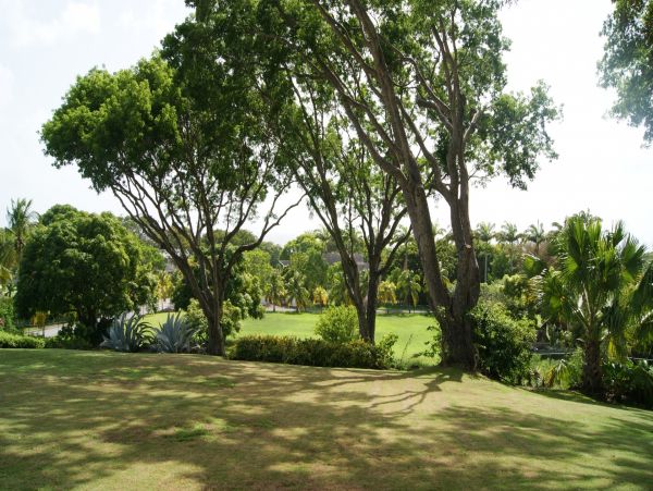 Barbados Home 982758