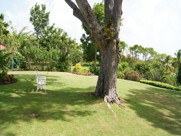Barbados Home 982758