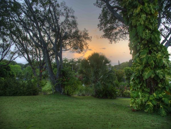 Barbados Home 982758