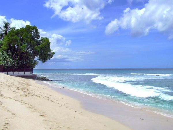 Barbados Home 982760
