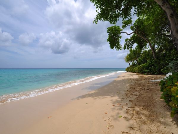 Barbados Condo 982773