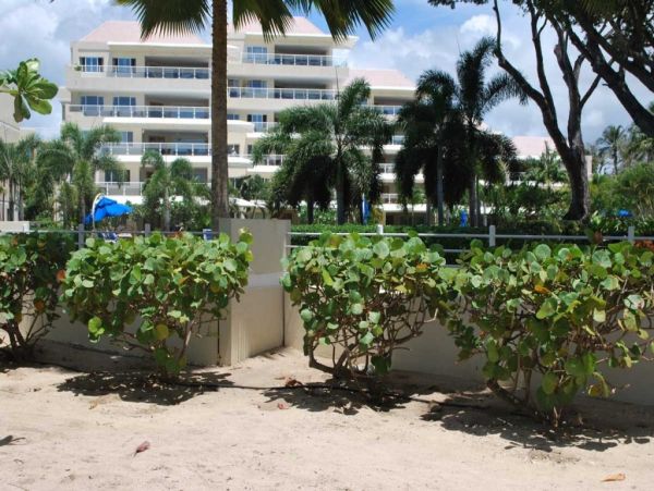 Barbados Condo 982775