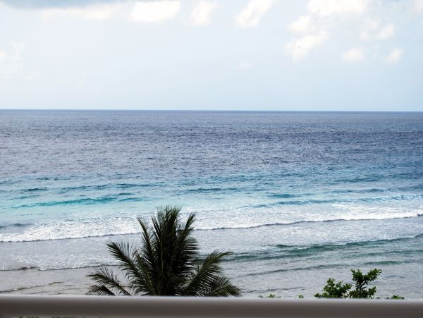Barbados Condo 982778