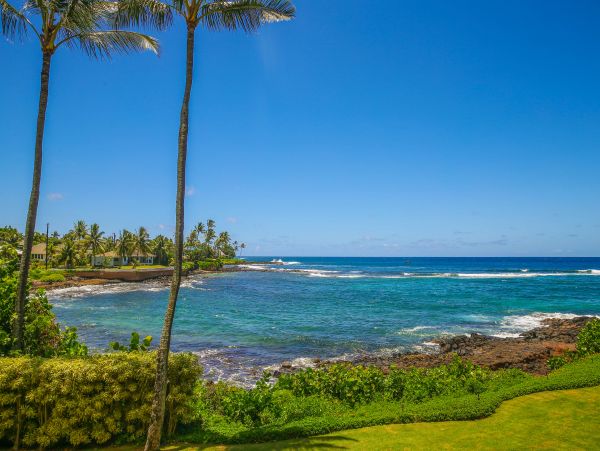 Koloapoipu Condo 982780