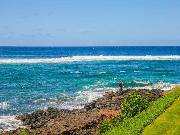 Koloapoipu Condo 982780