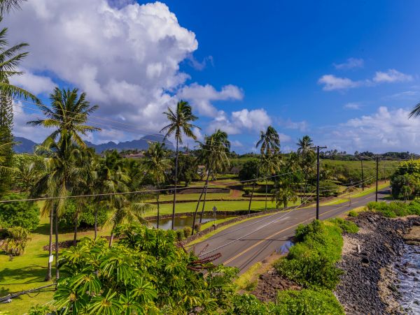 Koloapoipu Condo 982781