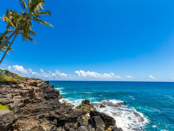What A Lovely View From The Lanai