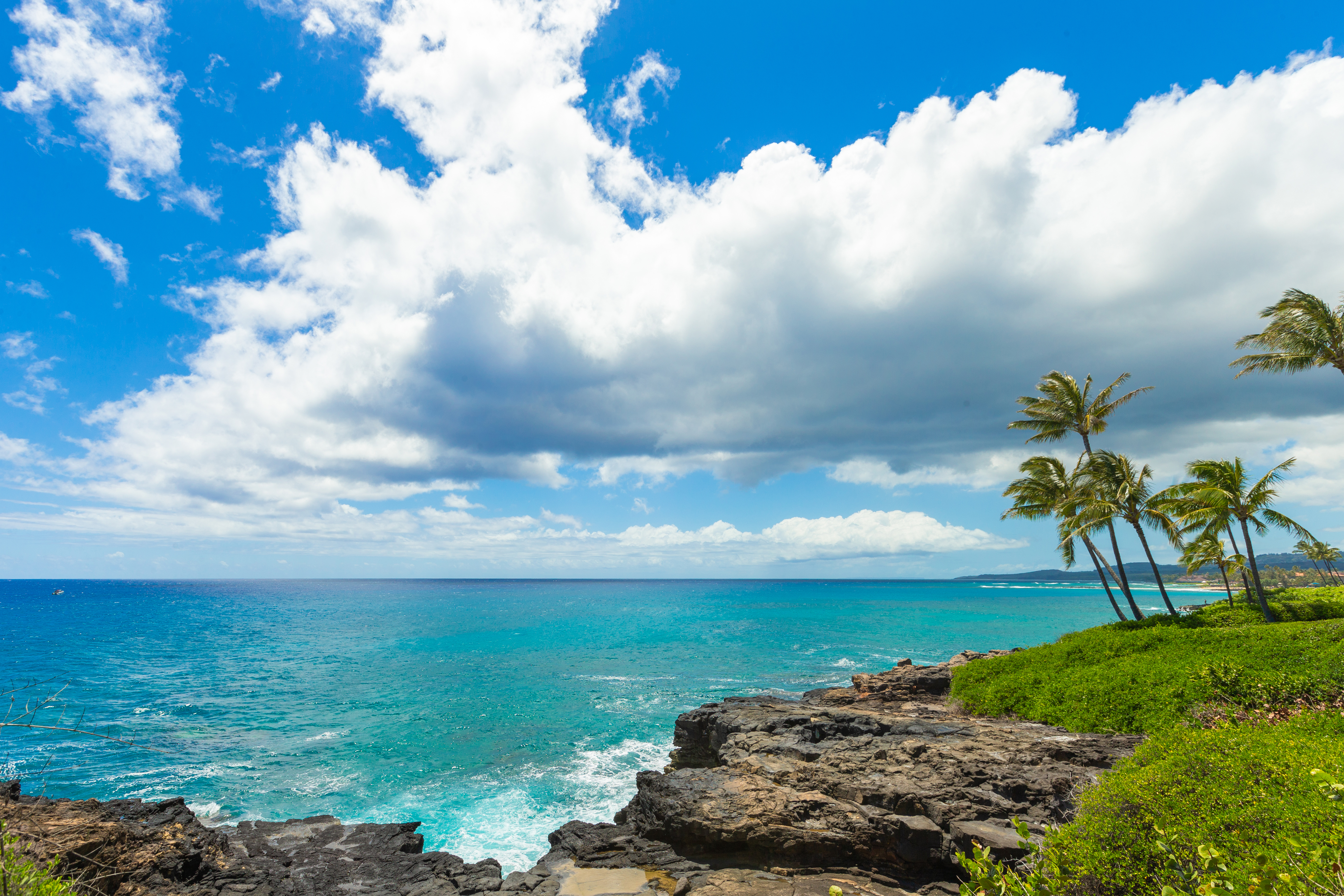 What A Lovely View From The Lanai