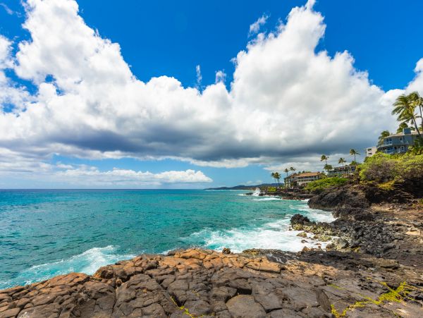 What A Lovely View From The Lanai