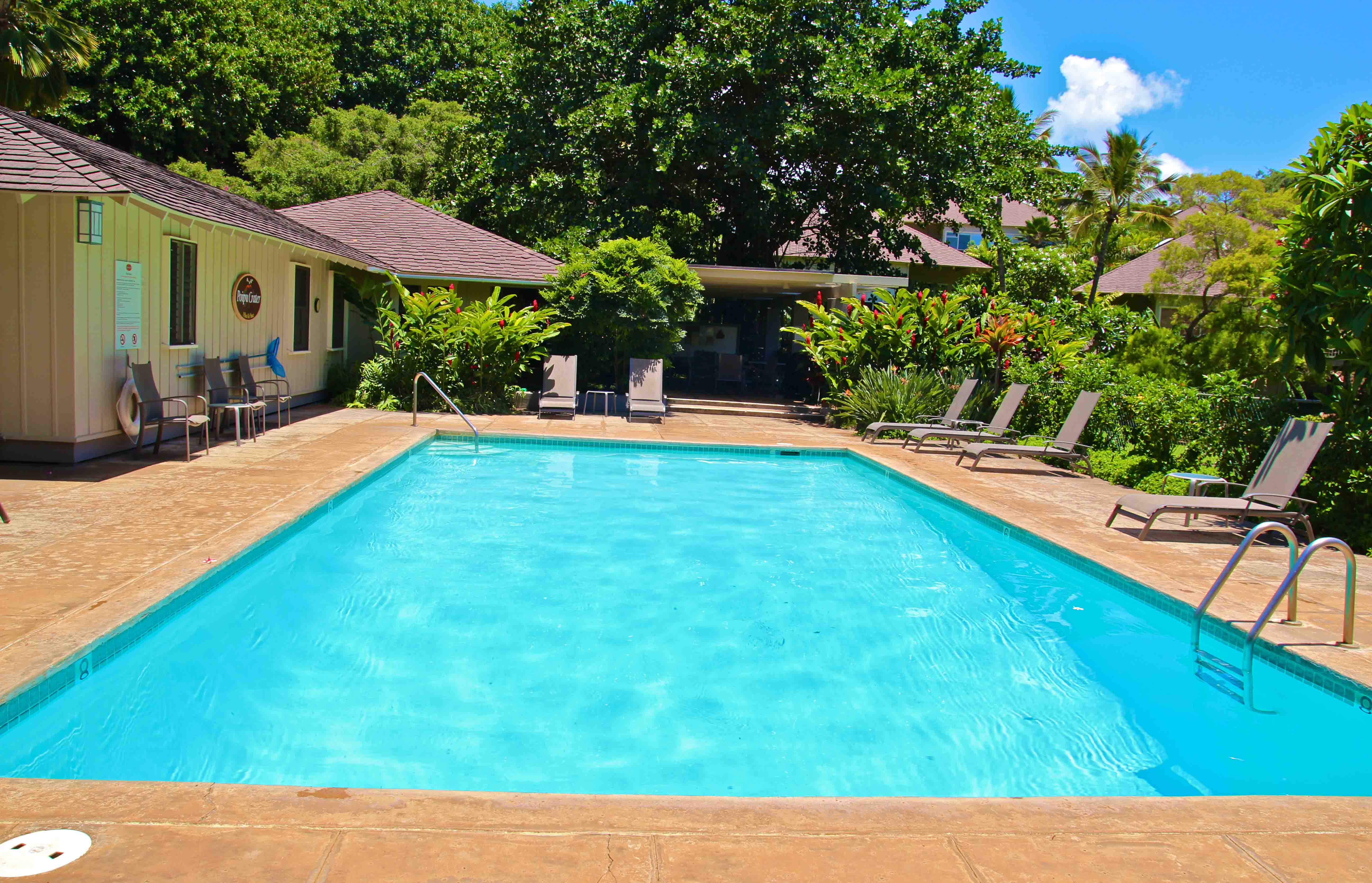 Koloapoipu Condo 982785