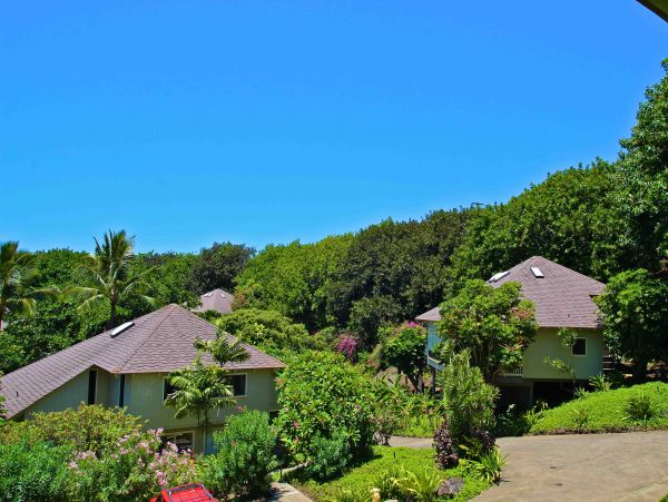 Koloapoipu Condo 982785