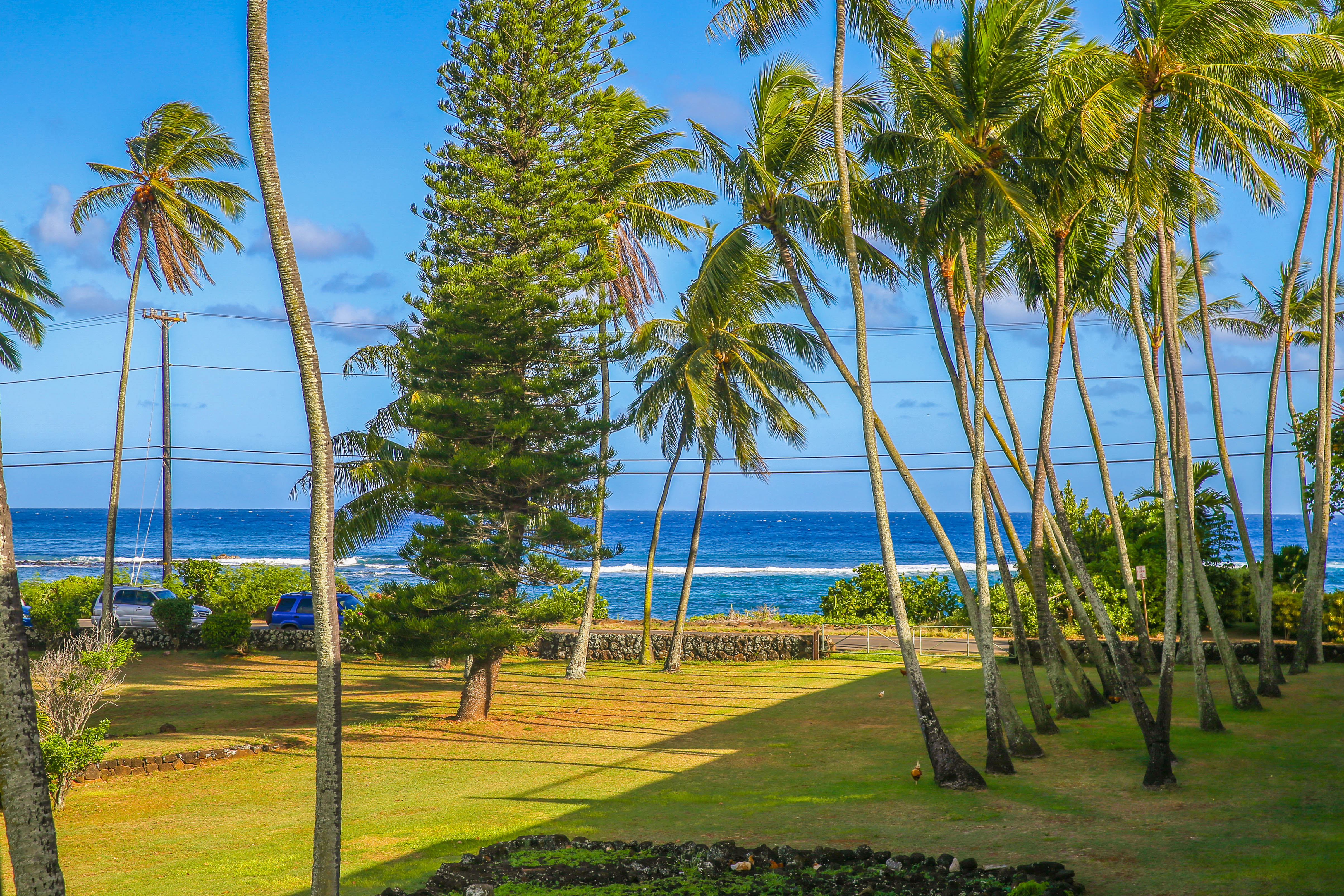 Koloapoipu Condo 982786