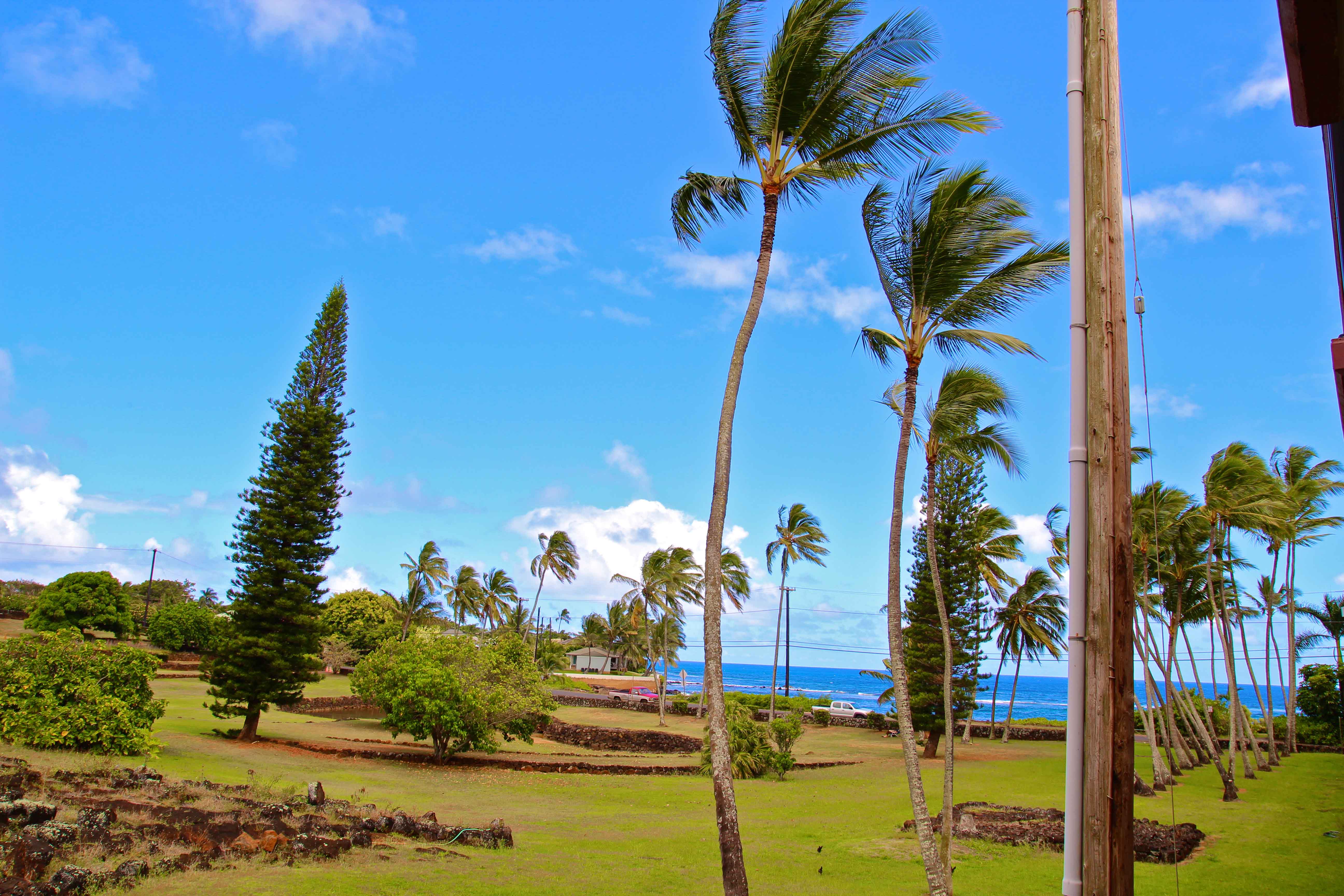 Koloapoipu Condo 982786