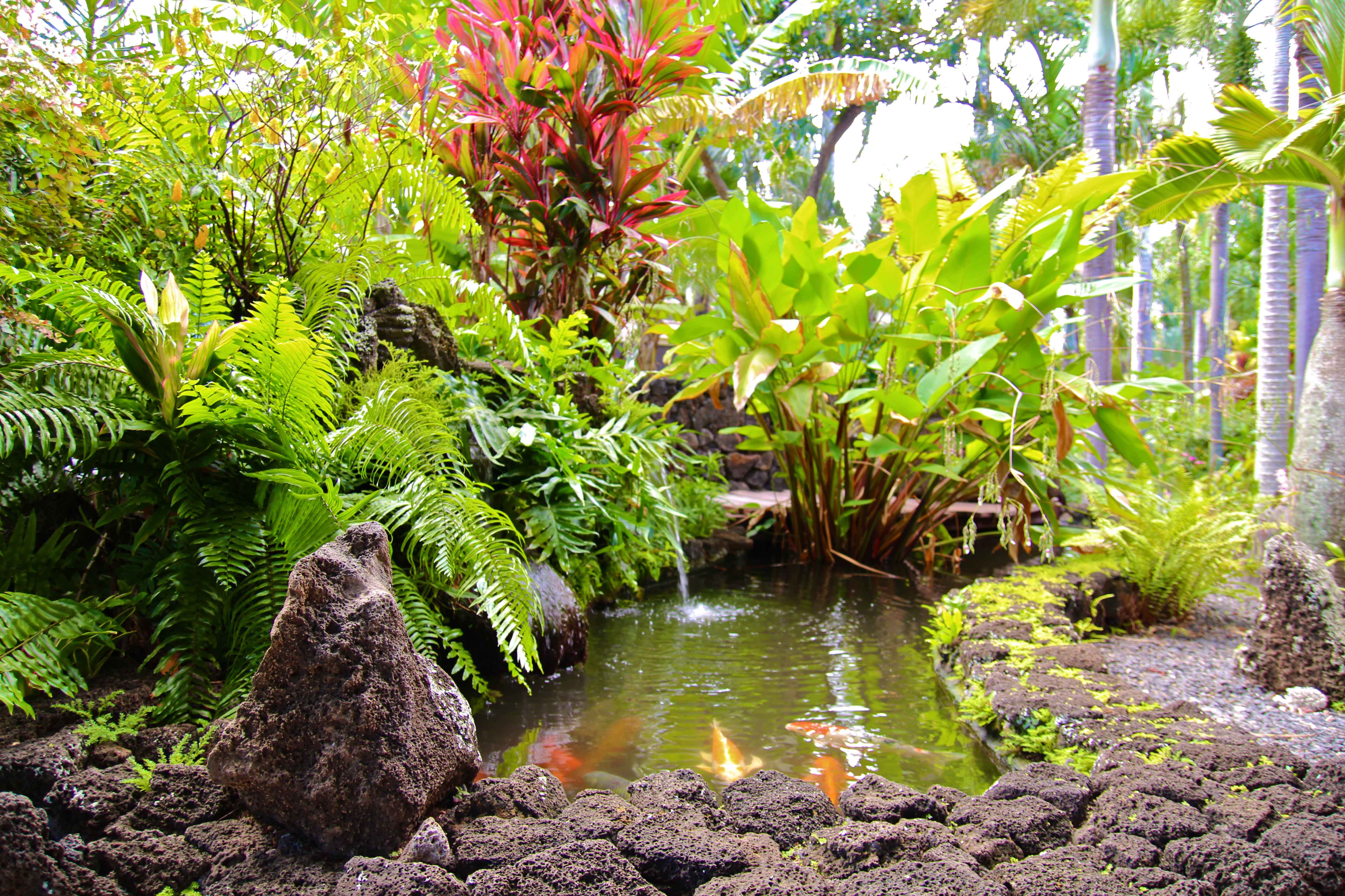 Koloapoipu Condo 982786