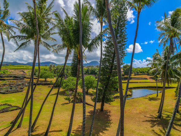 Koloapoipu Condo 982787