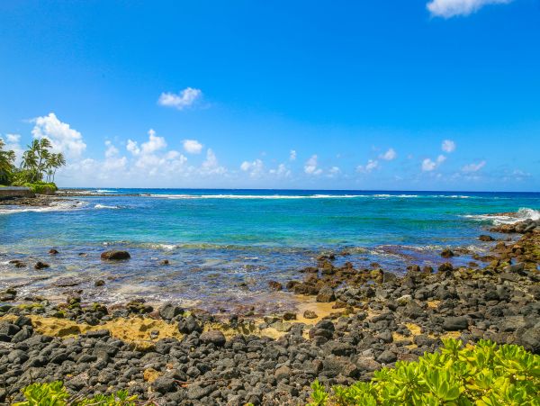 Koloapoipu Condo 982788