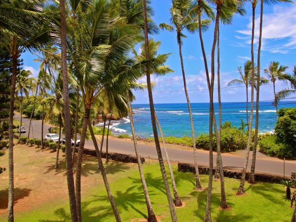 Koloapoipu Condo 982788