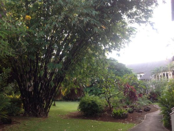 Koloapoipu Home 982794