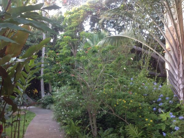 Koloapoipu Home 982794