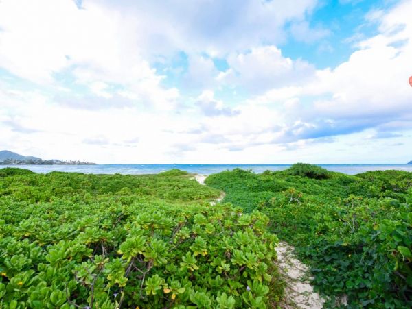 Kailua Lanikai Beach Home 982798