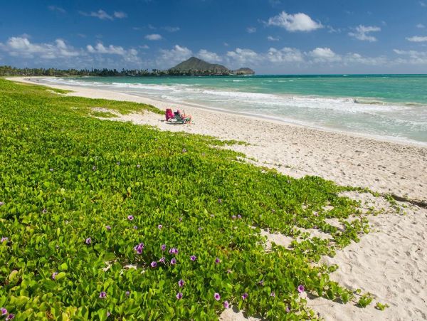 Kailua Lanikai Beach Home 982802
