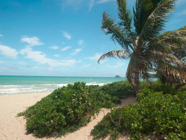 Kailua Lanikai Beach Home 982807