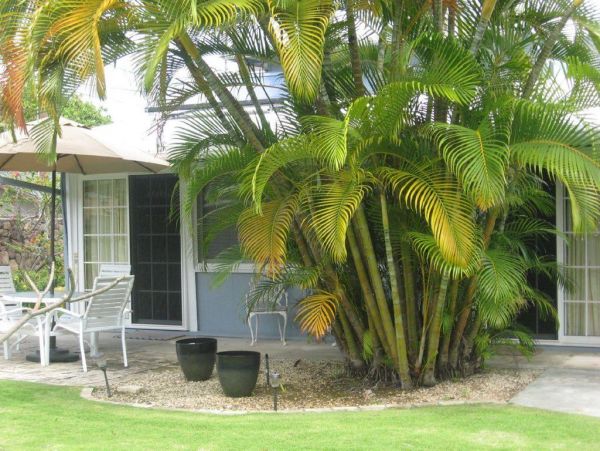Kailua Lanikai Beach Home 982823