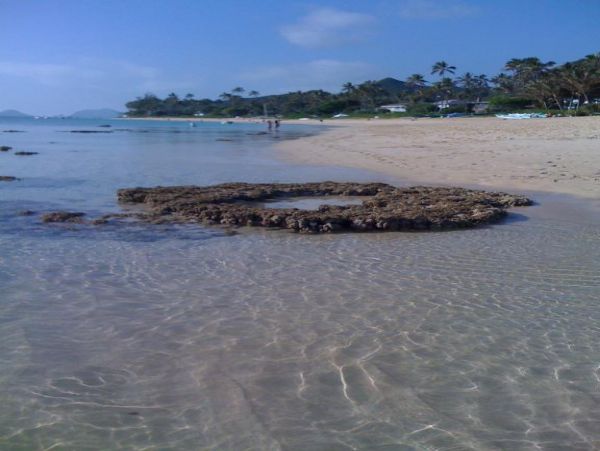Kailua Lanikai Beach Home 982831