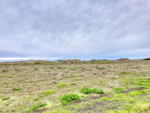 Mendocino Home 982846