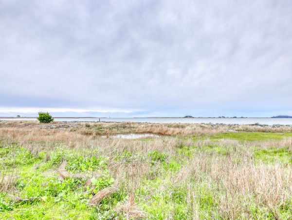 Mendocino Home 982846