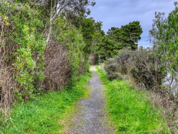 Mendocino Home 982848