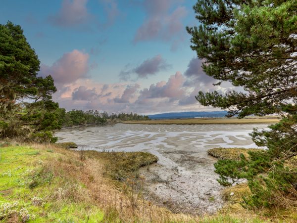 Mendocino Home 982848