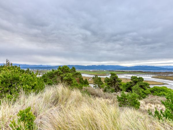 Mendocino Home 982849