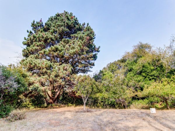 Mendocino Home 982867