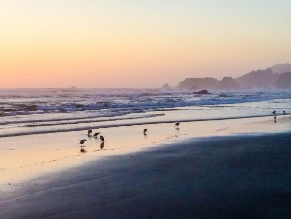 Mendocino Home 982868
