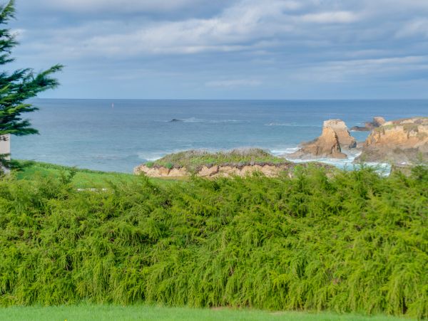 Mendocino Home 982875