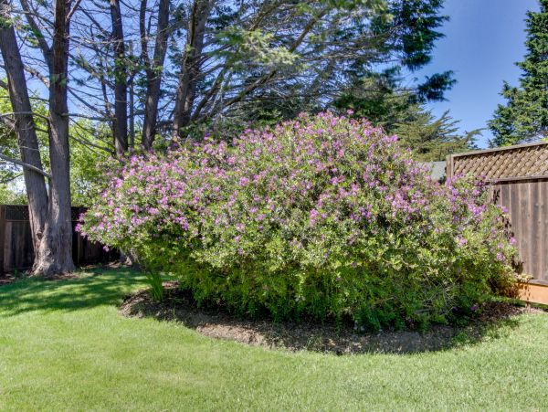 Mendocino Home 982878