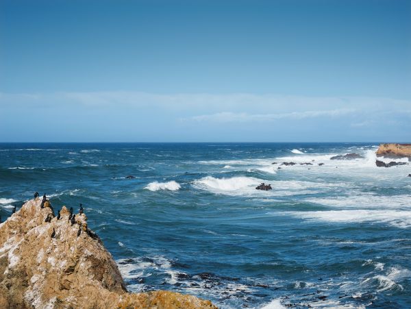 Mendocino Home 982881