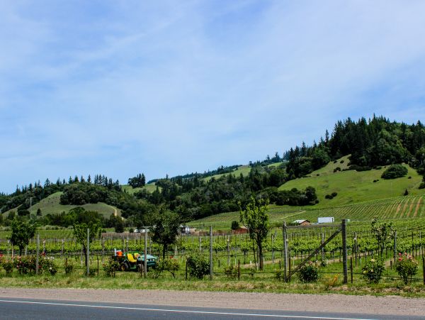 Mendocino Home 982883