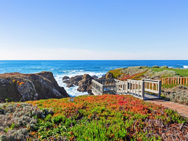 Mendocino Home 982885